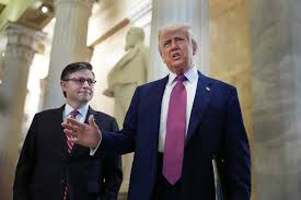 US House GOP split on megabill